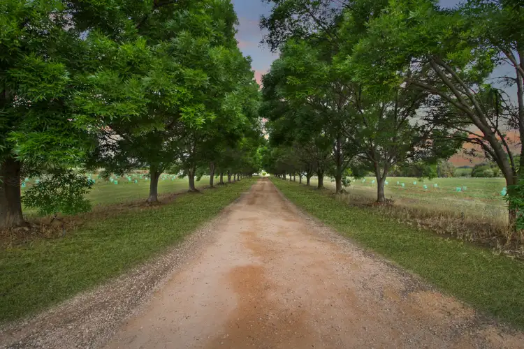 Second view of Homely house listing, 458 Chowilla Street, Renmark SA 5341