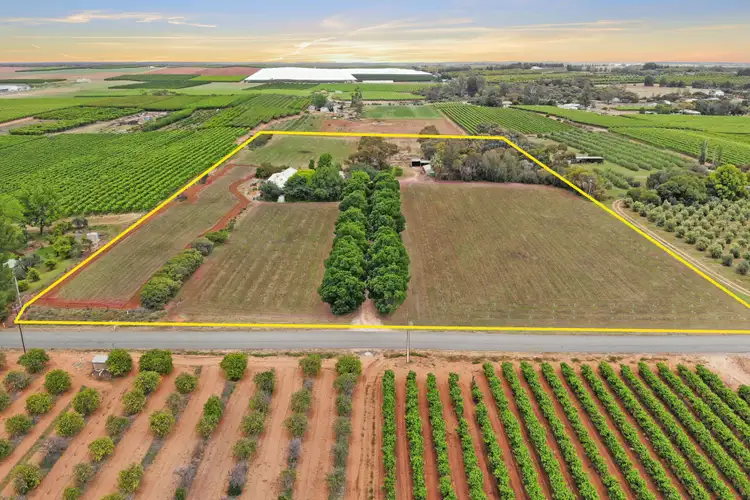 Third view of Homely house listing, 458 Chowilla Street, Renmark SA 5341