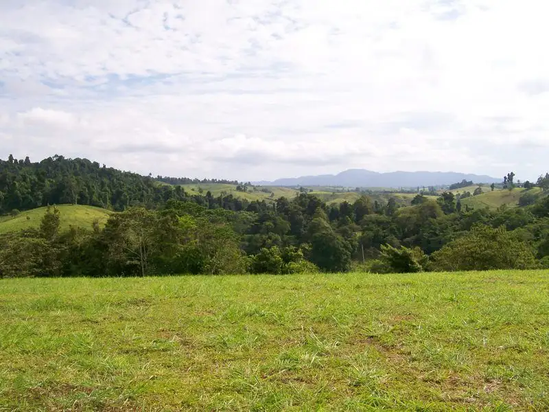 Main view of Homely land listing, Lot 6 Rainforest Falls Road, Coorumba QLD 4860