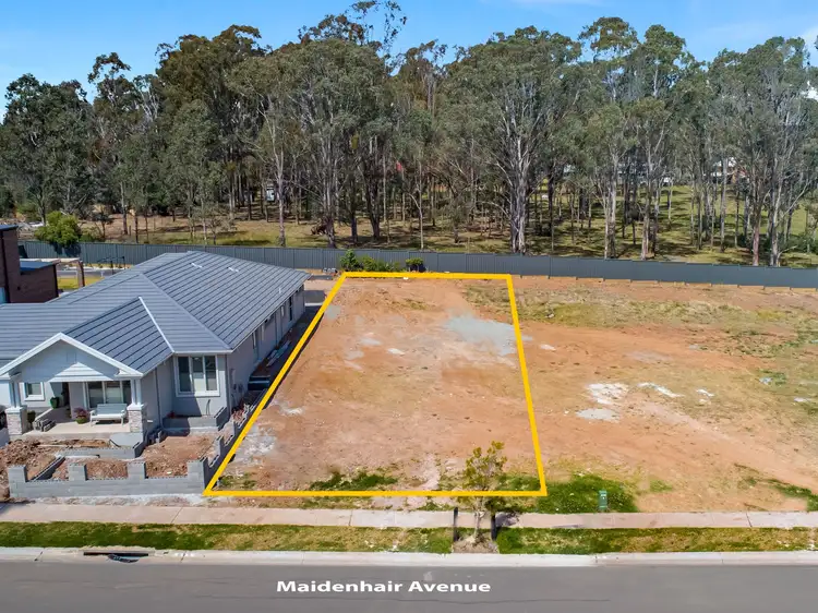 41 Maidenhair Avenue, Denham Court NSW 2565