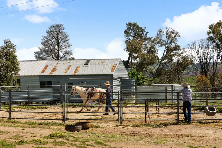 Sixth view of Homely rural property listing, 399 Connells Lane, Murrumbateman NSW 2582