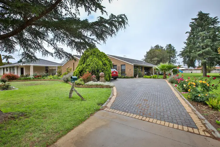 Main view of Homely house listing, 12 Elinda Court, Red Cliffs VIC 3496
