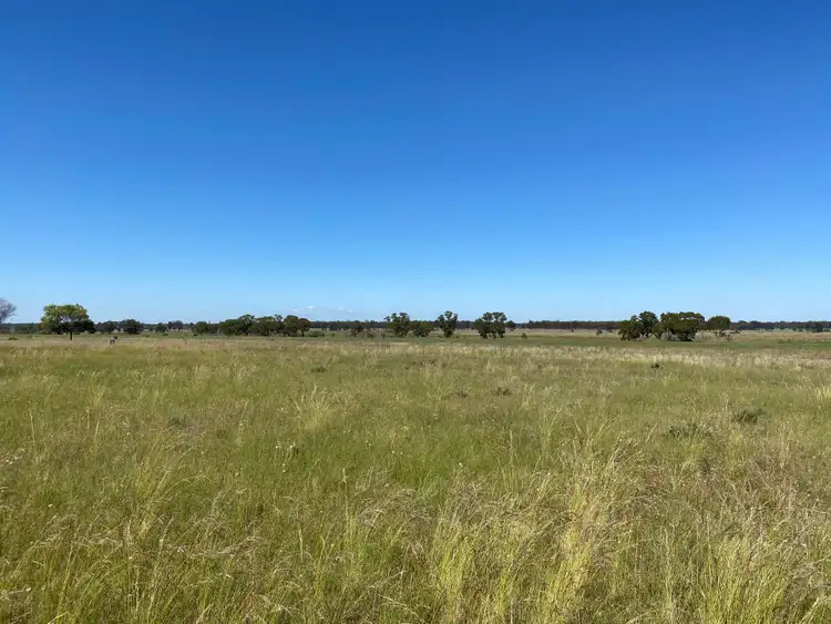 Third view of Homely rural property listing, 336 Hockey Road, Tullamore NSW 2874