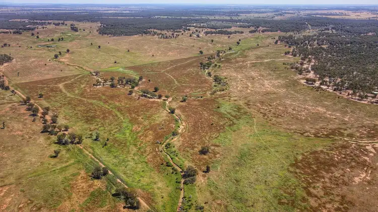 Fifth view of Homely rural property listing, 336 Hockey Road, Tullamore NSW 2874