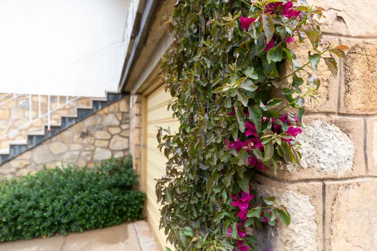Third view of Homely house listing, 89 Ross Road, Queanbeyan NSW 2620