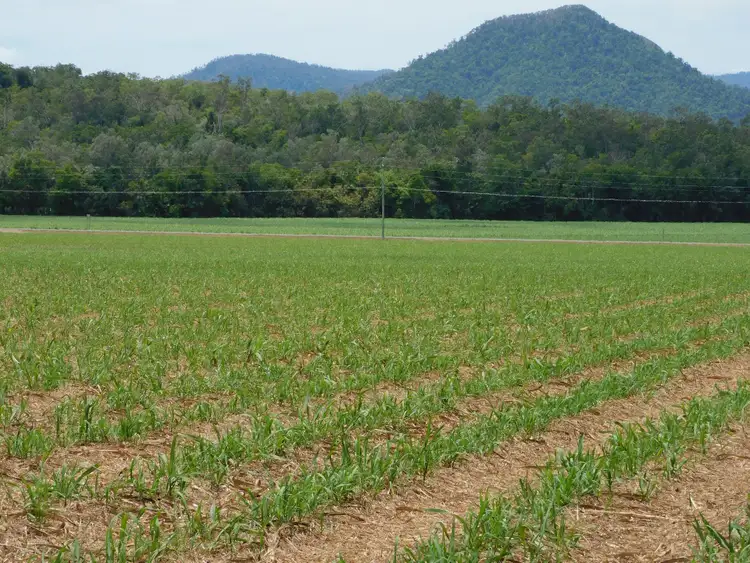 Second view of Homely rural property listing, Lot 26, 367 Strathdickie Road, Strathdickie QLD 4800