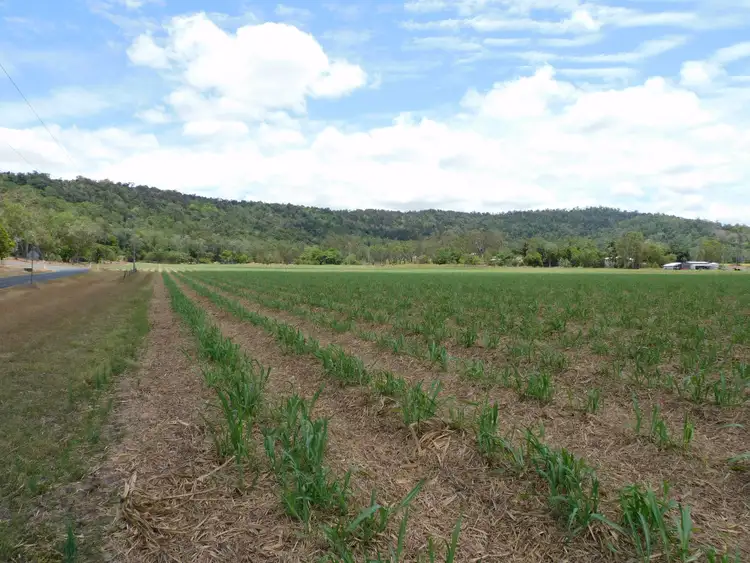 Fourth view of Homely rural property listing, Lot 26, 367 Strathdickie Road, Strathdickie QLD 4800