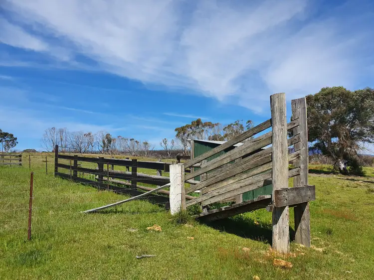 Fourth view of Homely rural property listing, 141 Killarney Road, Charleys Forest, Braidwood NSW 2622