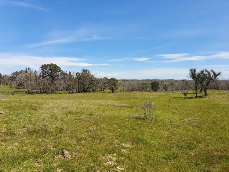 Sixth view of Homely rural property listing, 141 Killarney Road, Charleys Forest, Braidwood NSW 2622