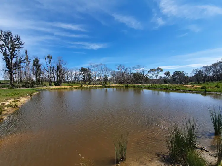 Seventh view of Homely rural property listing, 141 Killarney Road, Charleys Forest, Braidwood NSW 2622