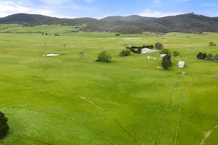 Fifth view of Homely rural property listing, 1242 Jerrabattgulla Road, Jerrabattgulla, Braidwood NSW 2622