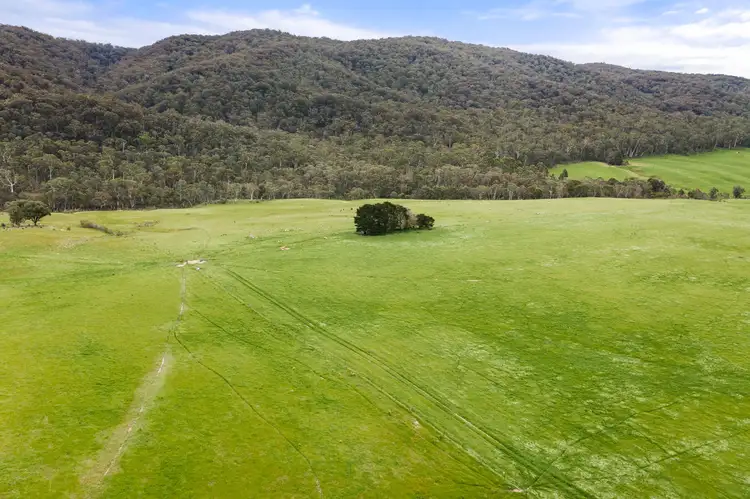 Sixth view of Homely rural property listing, 1242 Jerrabattgulla Road, Jerrabattgulla, Braidwood NSW 2622