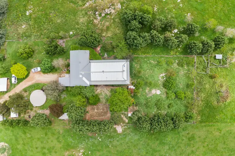 31 Black Sally Lane, Braidwood NSW 2622