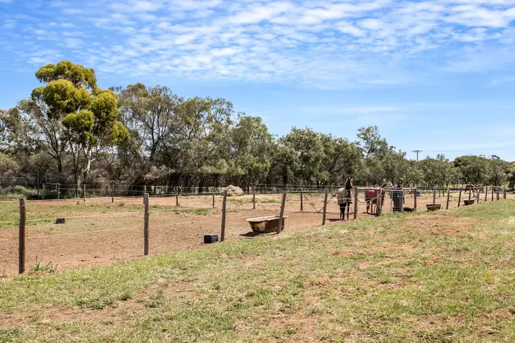 Second view of Homely house listing, 53 Old Swanport Road, Murray Bridge SA 5253