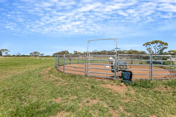 Third view of Homely house listing, 53 Old Swanport Road, Murray Bridge SA 5253