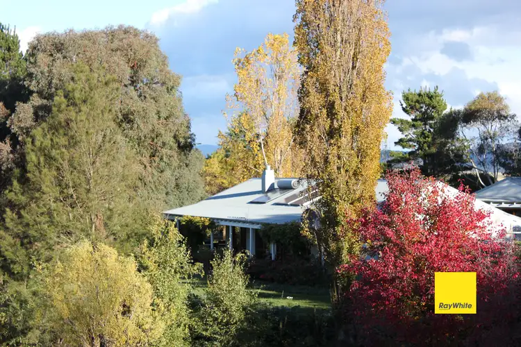 Third view of Homely rural property listing, 1454 Captains Flat Road, Carwoola NSW 2620