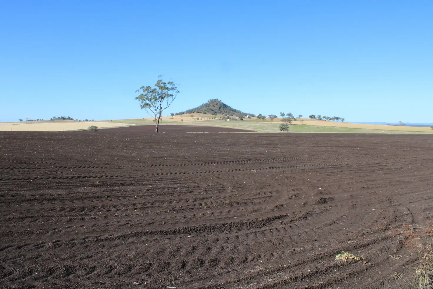 Main view of Homely rural property listing, Lot 1 Glenesk Road, Inverell NSW 2360