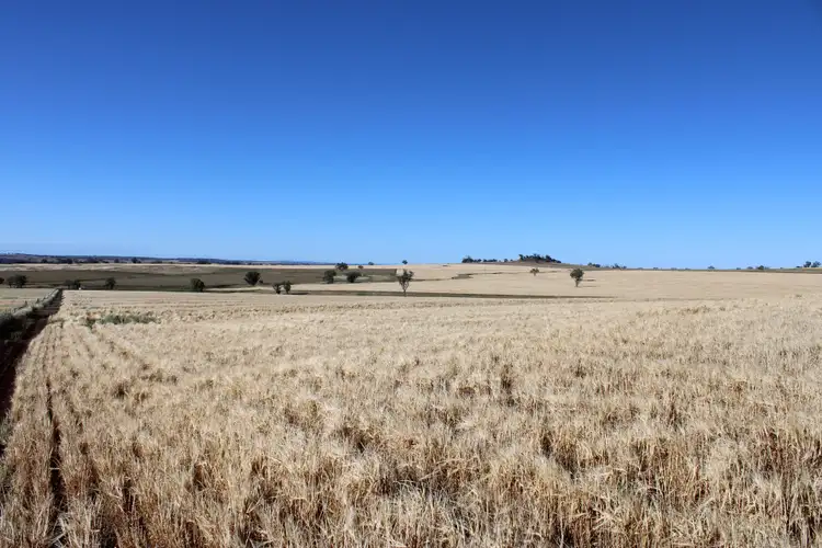 Second view of Homely rural property listing, Lot 1 Glenesk Road, Inverell NSW 2360