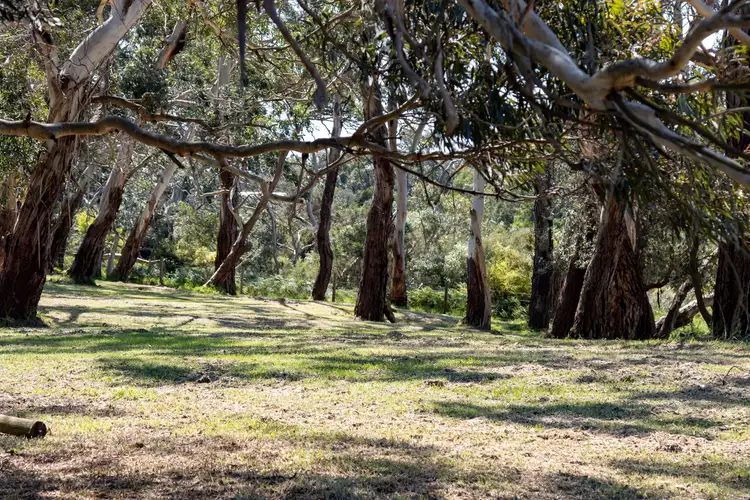 Seventh view of Homely land listing, Lot 103 Lighthouse Place, Inverloch VIC 3996