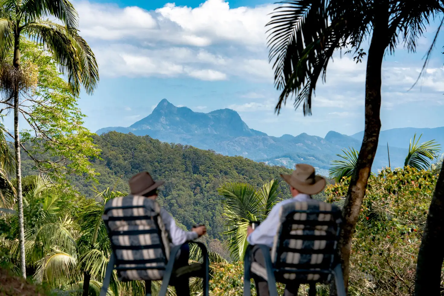 Main view of Homely rural property listing, Lot 168 Glengarrie Road, Tomewin NSW 2484