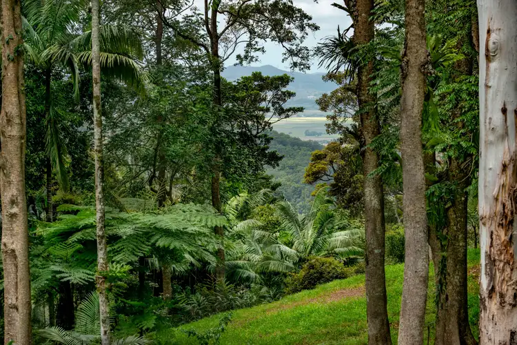 Sixth view of Homely rural property listing, Lot 168 Glengarrie Road, Tomewin NSW 2484