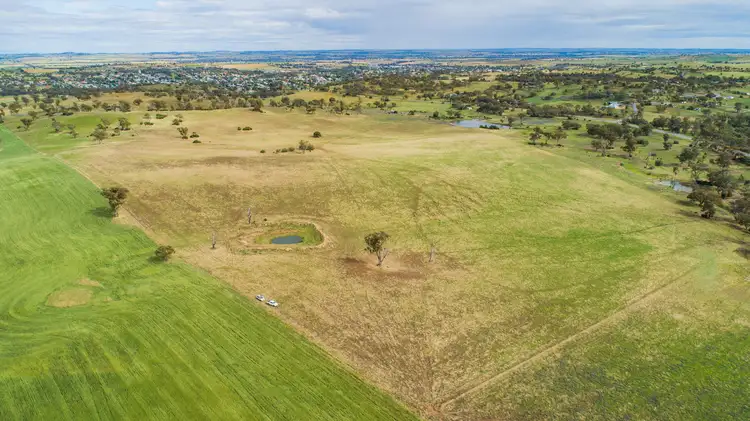 5919 Gundagai Road, Junee NSW 2663