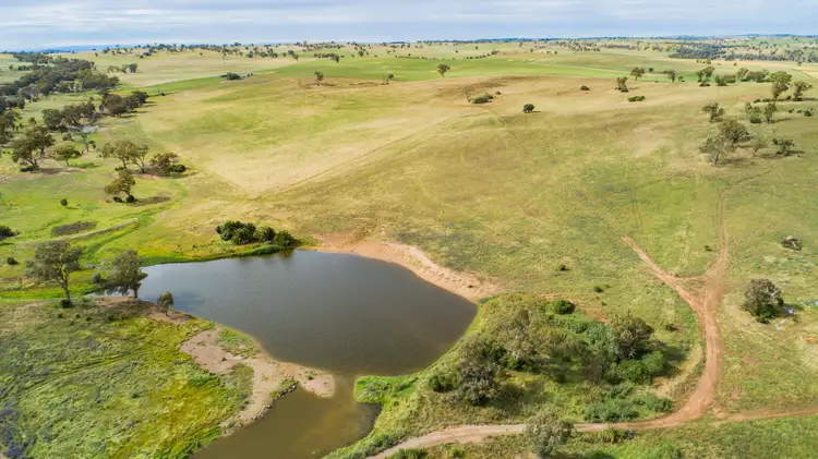 Fourth view of Homely rural property listing, 5919 Gundagai Road, Junee NSW 2663