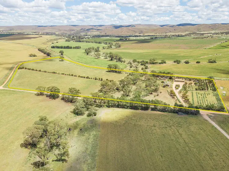 Main view of Homely house listing, 303 Miller Road, Sanderston SA 5237