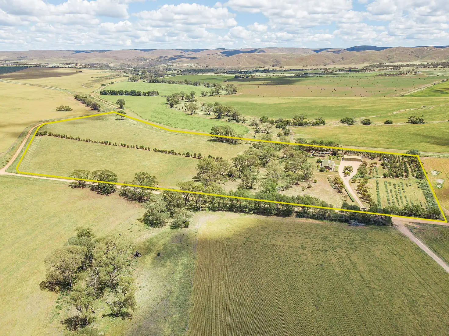 Main view of Homely house listing, 303 Miller Road, Sanderston SA 5237