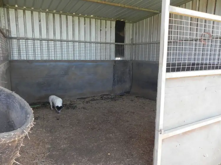 Seventh view of Homely rural property listing, 520 Knust Road, Mount Tyson QLD 4356