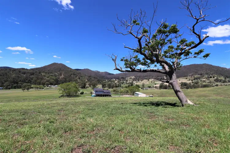 Fourth view of Homely rural property listing, 3698 Border Road, Killarney QLD 4373