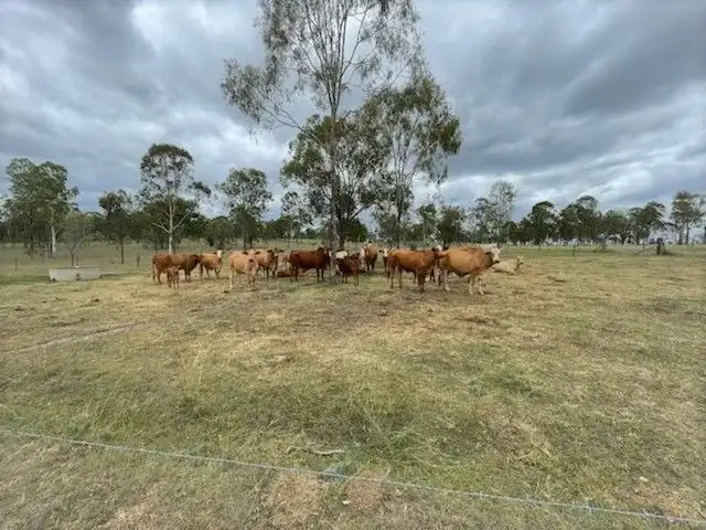 Fourth view of Homely rural property listing, 731 Eureka Station Road, Eureka QLD 4660