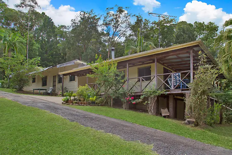 Third view of Homely rural property listing, 1764 Numinbah Road, Chillingham NSW 2484