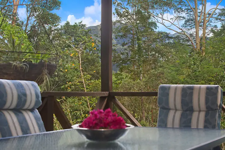 Fourth view of Homely rural property listing, 1764 Numinbah Road, Chillingham NSW 2484