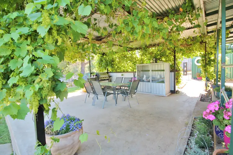105 Victoria Gully Road, Young NSW 2594
