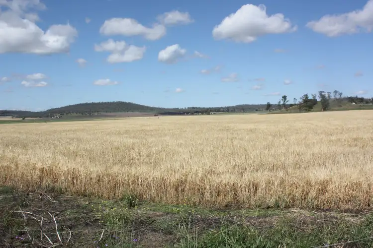 Second view of Homely rural property listing, 0 Richardson Road, Southbrook QLD 4363