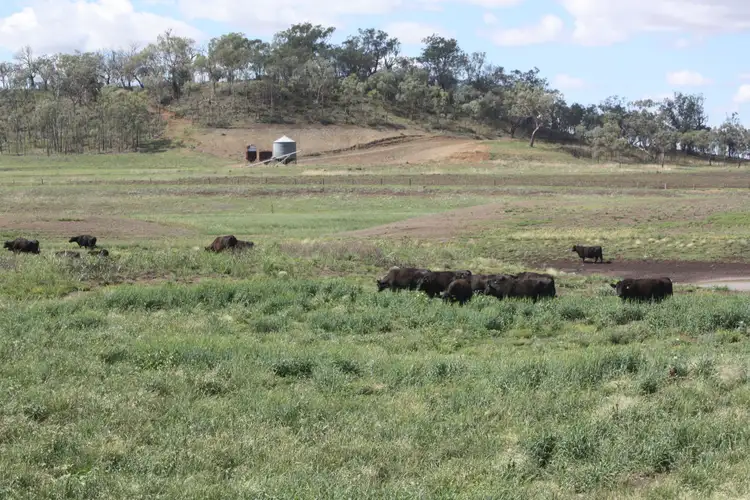 Fifth view of Homely rural property listing, 0 Richardson Road, Southbrook QLD 4363