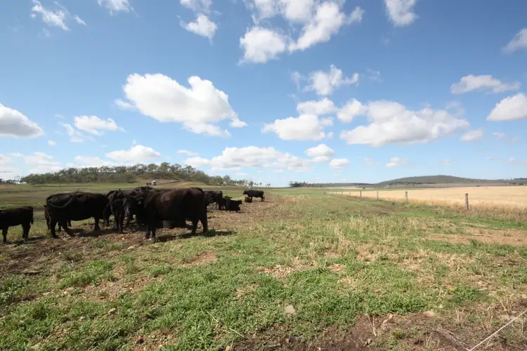 Sixth view of Homely rural property listing, 0 Richardson Road, Southbrook QLD 4363