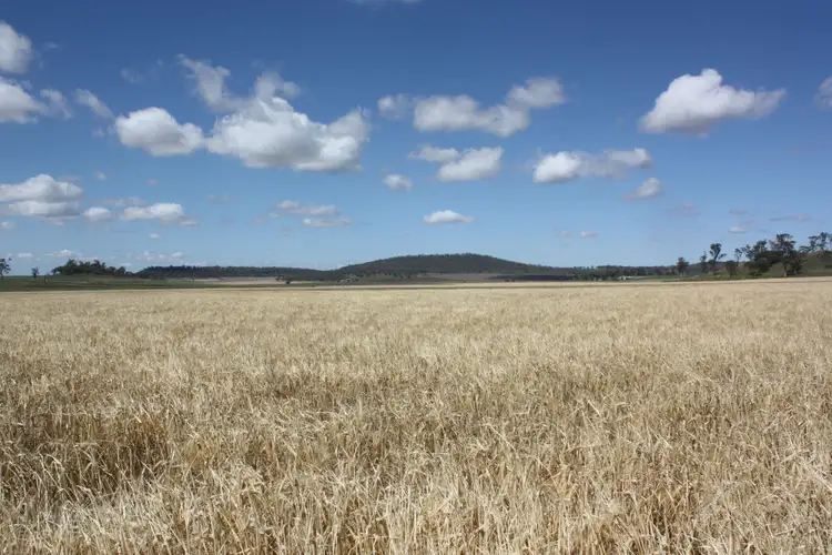 Seventh view of Homely rural property listing, 0 Richardson Road, Southbrook QLD 4363