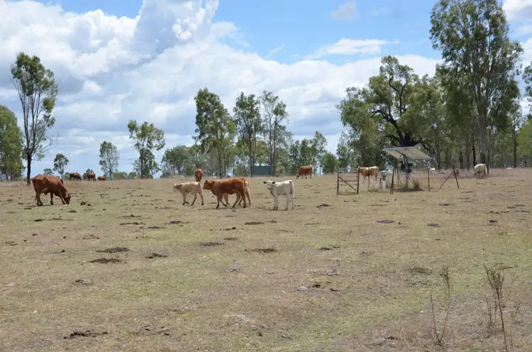 Seventh view of Homely rural property listing, 731 Eureka Station Road, Eureka QLD 4660