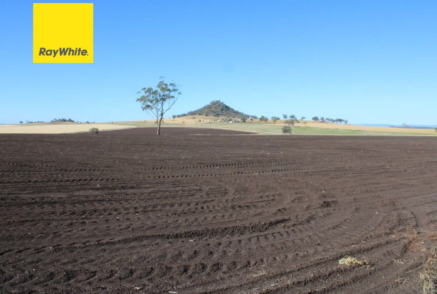 Main view of Homely rural property listing, 1 Glenesk Road, Delungra NSW 2403