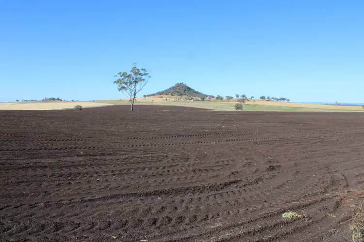 Second view of Homely rural property listing, 1 Glenesk Road, Delungra NSW 2403