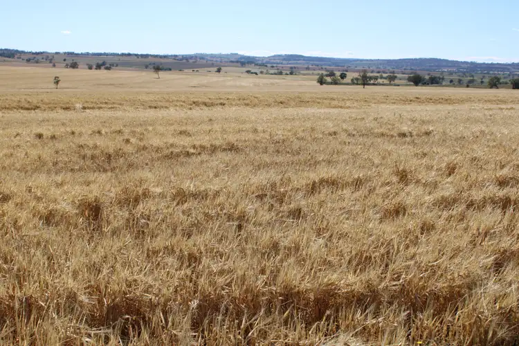Third view of Homely rural property listing, 1 Glenesk Road, Delungra NSW 2403