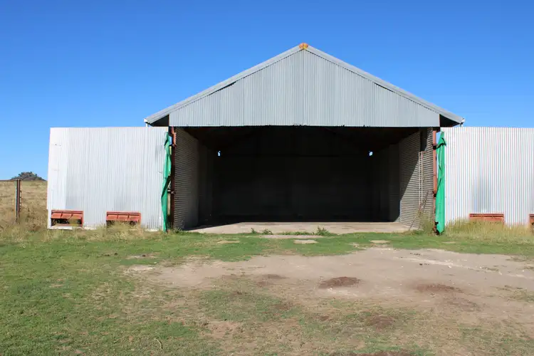 Seventh view of Homely rural property listing, 1 Glenesk Road, Delungra NSW 2403