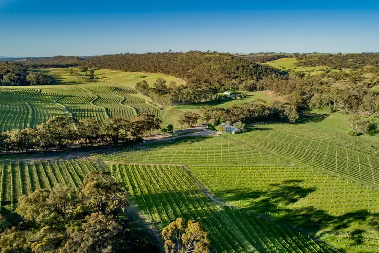 Third view of Homely rural property listing, Skillogalee, Trevarrick Road, Sevenhill SA 5453