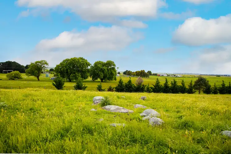 Third view of Homely rural property listing, 270 Little River Road, Braidwood NSW 2622