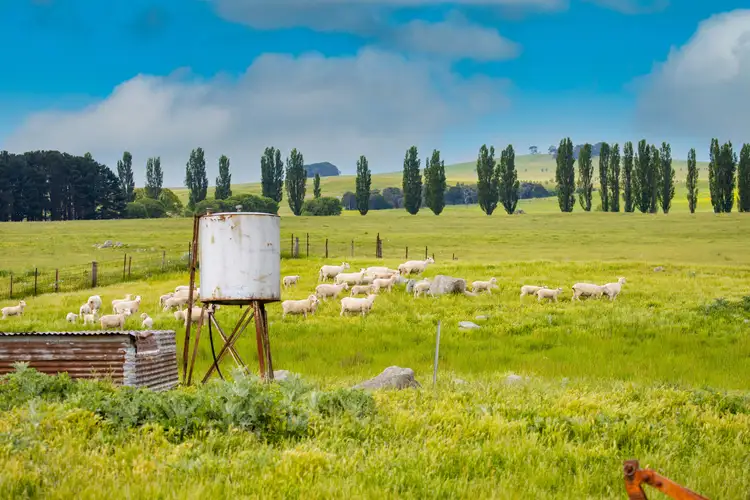 Fourth view of Homely rural property listing, 270 Little River Road, Braidwood NSW 2622