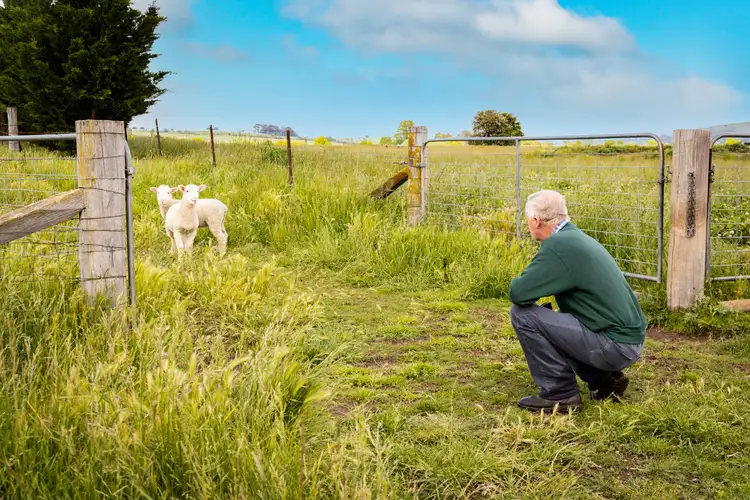 Seventh view of Homely rural property listing, 270 Little River Road, Braidwood NSW 2622
