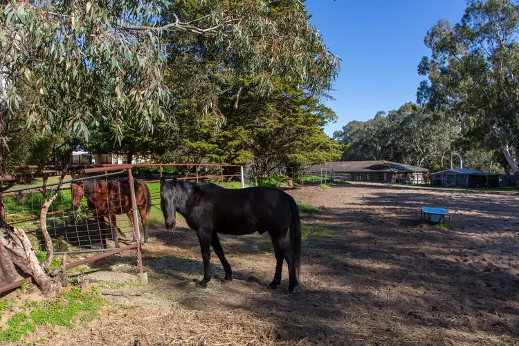 Sixth view of Homely land listing, Lots 1-11/7 Jordan Avenue, Happy Valley SA 5159