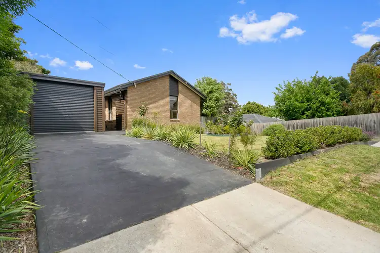 Main view of Homely unit listing, 24B Beech Street, Langwarrin VIC 3910
